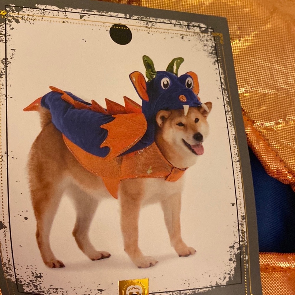 Authentique Spooky Night Dragon Pet Halloween costume NWT size medium